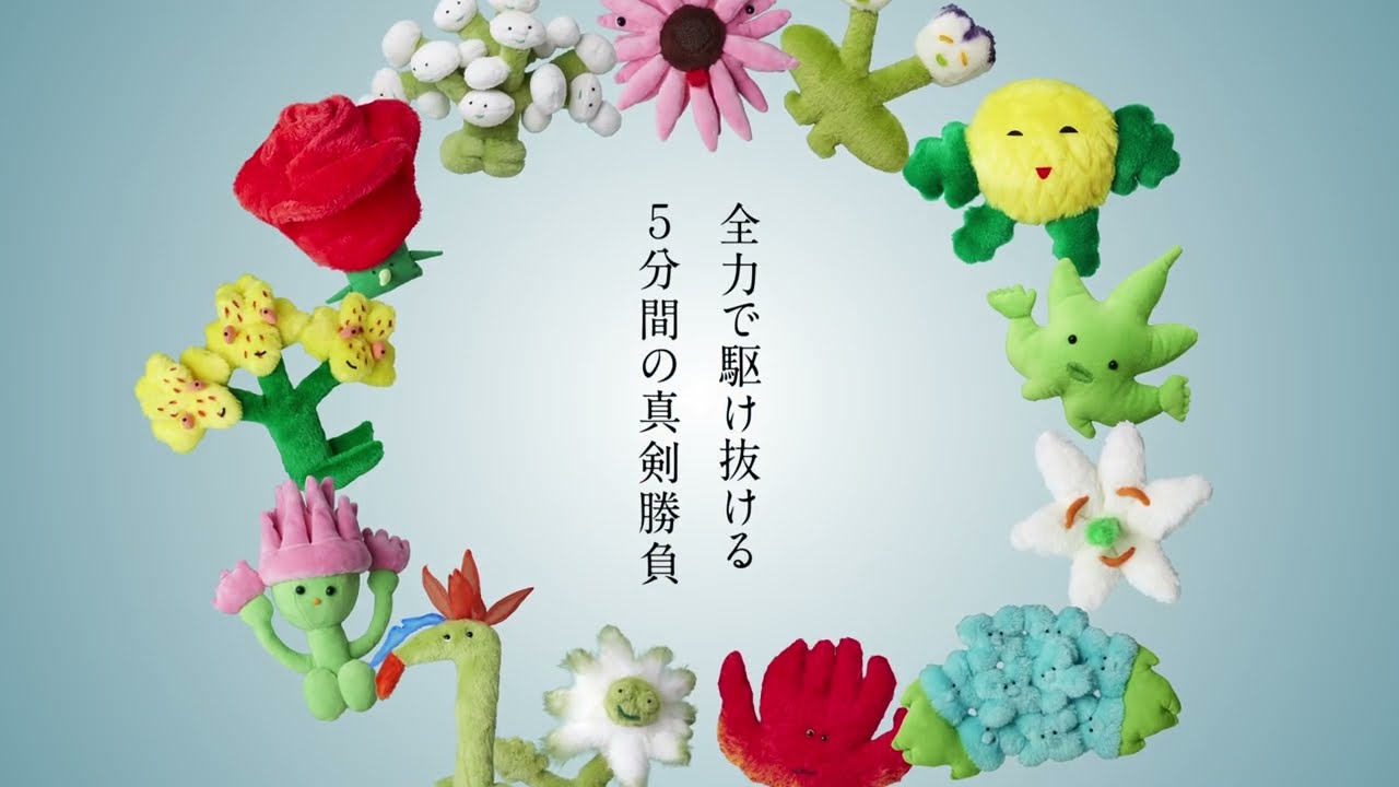 全国高校生花いけバトル 2025  PV