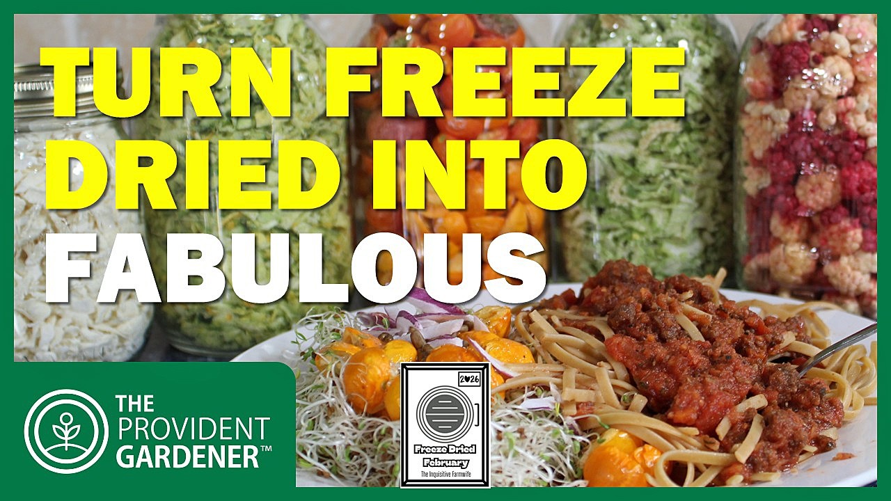 How I Use Freeze Dried Food Every Day (Not Just For Prepping!) | Garden Harvest Year-Round
