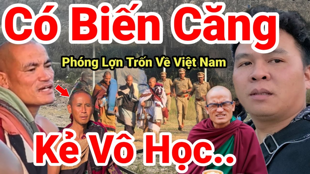 Tập 135: Khầy Tuệ Là Kẻ Vô Học..Phóng Lợ Bỏ Trốn Về Việt Nam Ăn Tết.. Đoàn Thợ Tu Minh Tuệ Là Diễn..