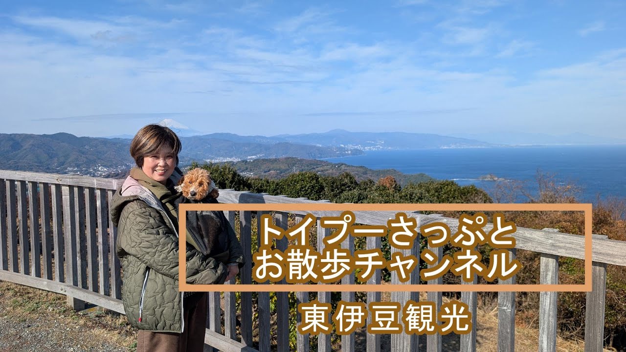 伊東市観光編：(犬連れ)小室山と愛犬の道の駅と広井酒店