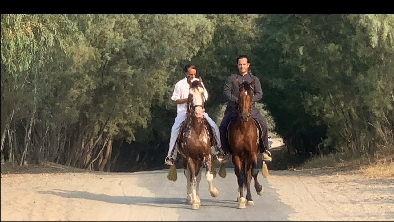 Fakhar-e-Ammar and Ghulaab at Dullewala