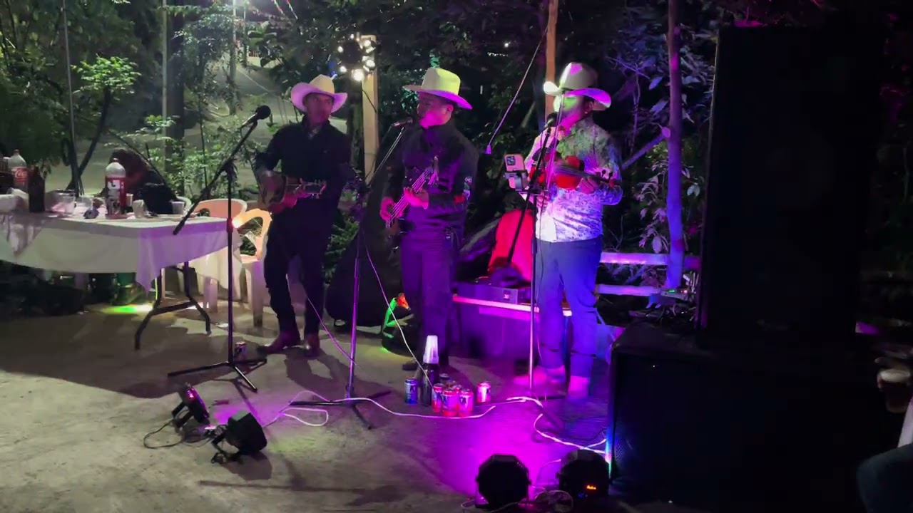 Zapateados movidos en vivo desde Acalamayo, Santiago, Tamazunchale, S.L.P - Trío Los Miguel 