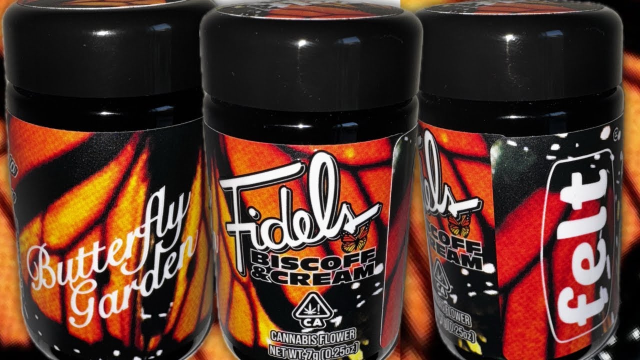 Fidels x Felt: BISCOFF & CREAM strain review