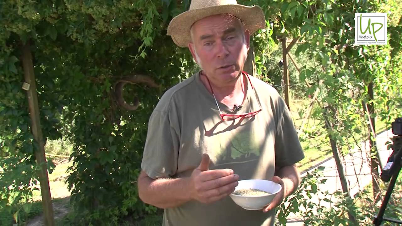 Conservatoire Dynamique des Gestes Techniques: Jardiner sans pesticides et sans eau potable