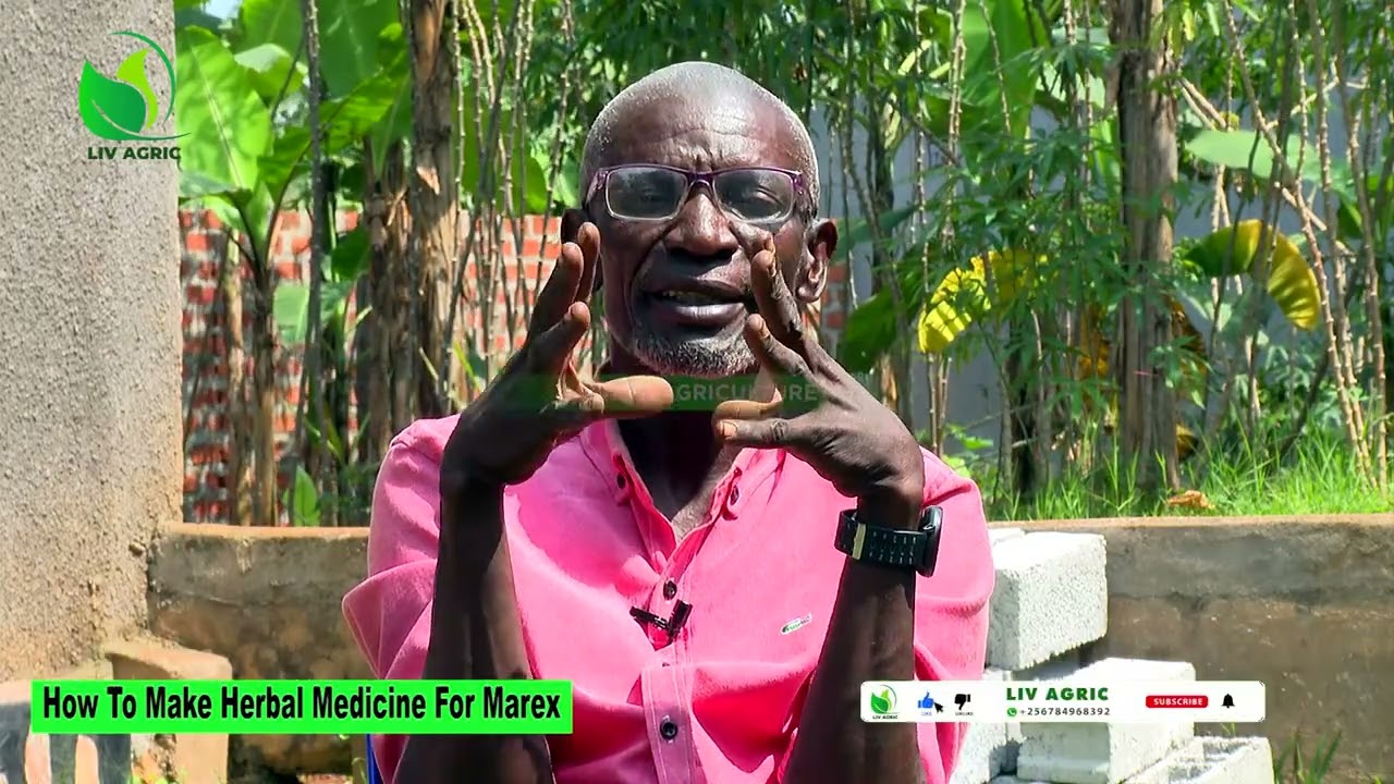 How To Make Herbal Medicine For MAREX In Poultry With Dr Isa Luigare