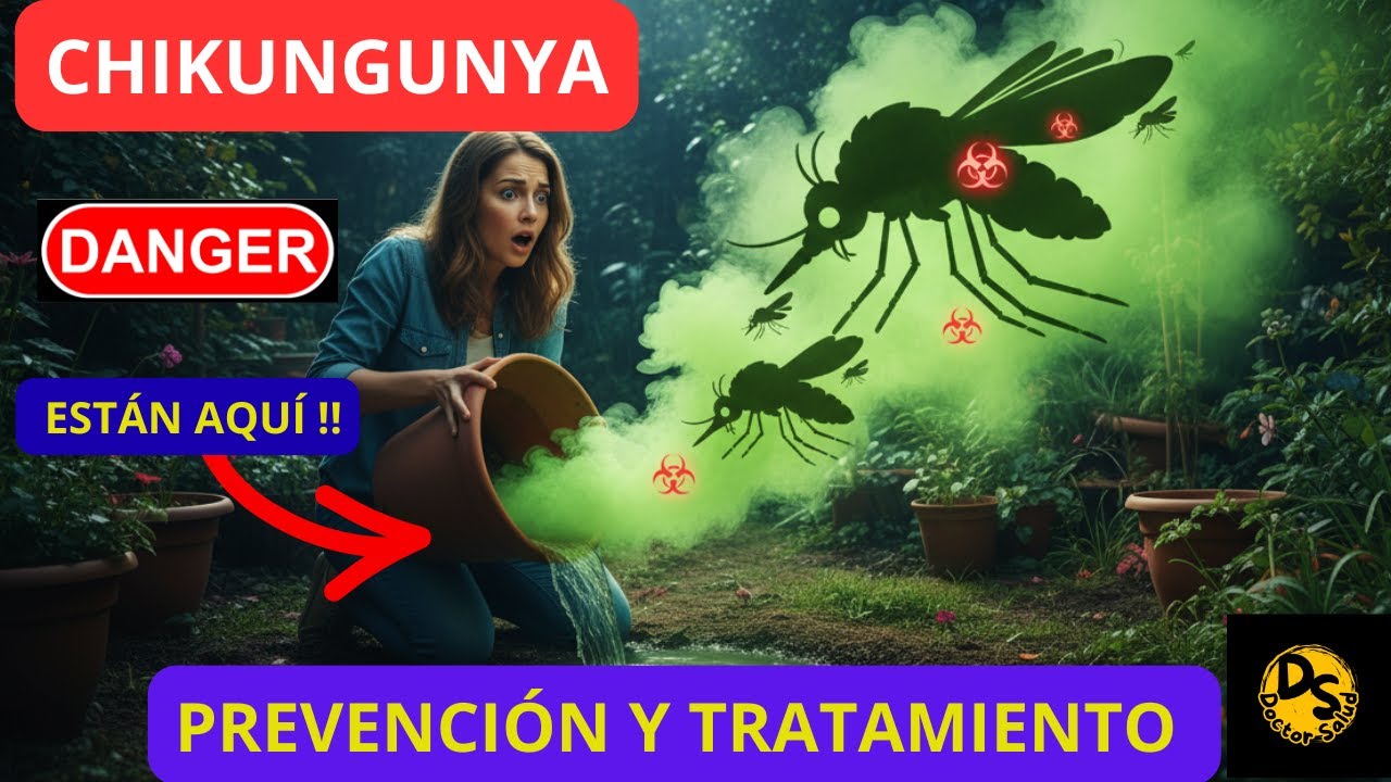 CHIKUNGUNYA: Prevención comprobada con DEET y Permetrina🚨🚨