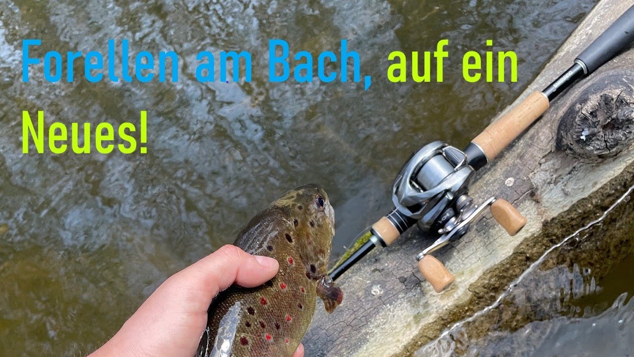 Forellen angeln am Bach, auf ein Neues!