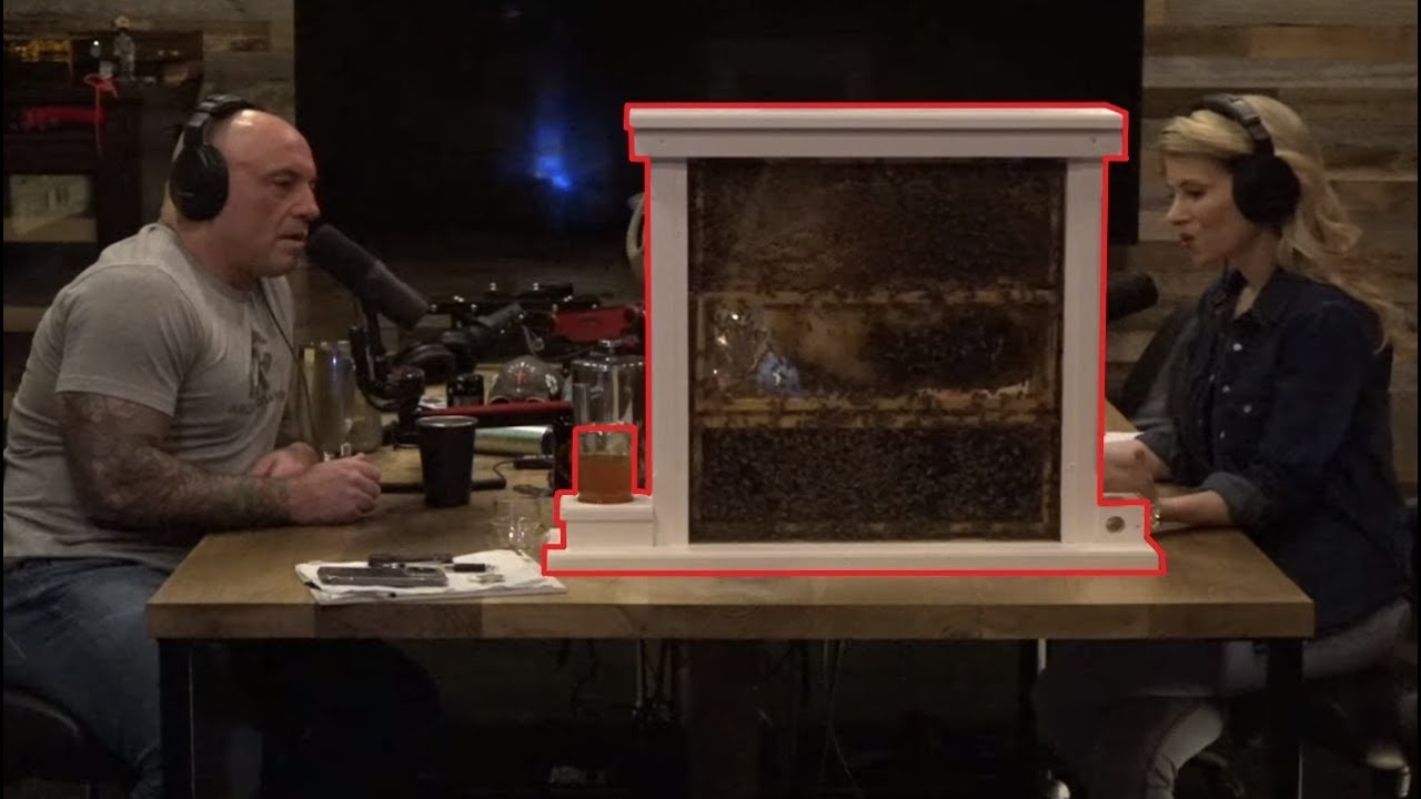 Joe Rogan: Erika Thompson Shows Joe How A Real Beehive Work's