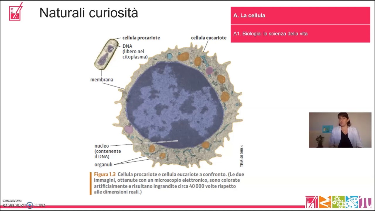 A1.  La cellula-  Biologia: la scienza della vita