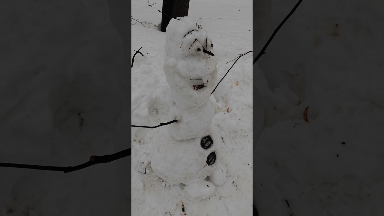 Шедевр! 🤣 Masterpiece!
