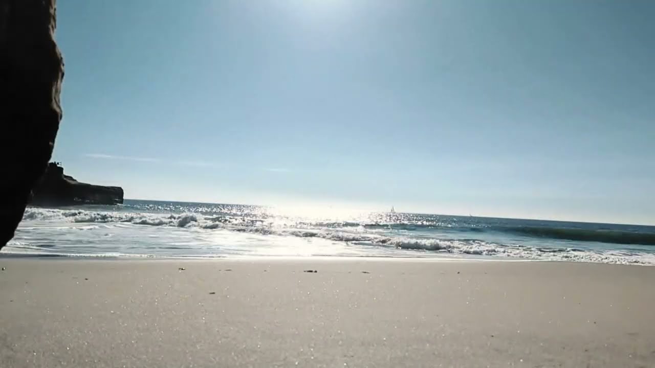All Working Together | The Breath That Heals the Planet
