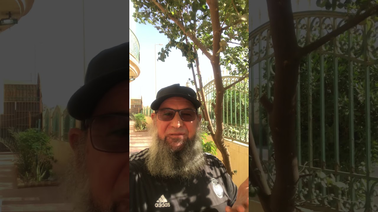 كثرة الذكر لها سر عجيب في الفتح والتوفيق والتيسير