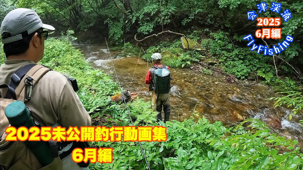 【会津渓流FlyFishing】2025未公開釣行動画集（6月編）