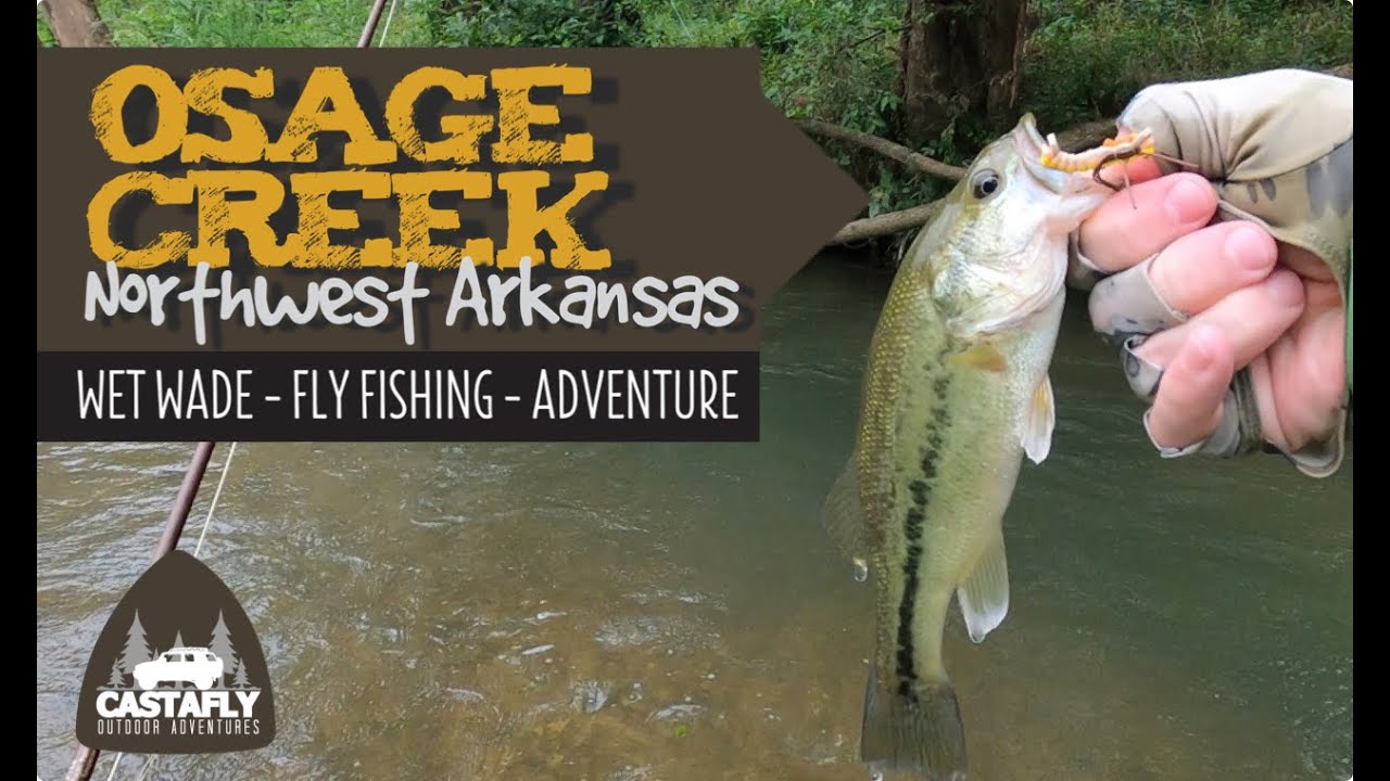Wet Wade | Fly Fishing | Adventure | Osage Creek | Northwest Arkansas