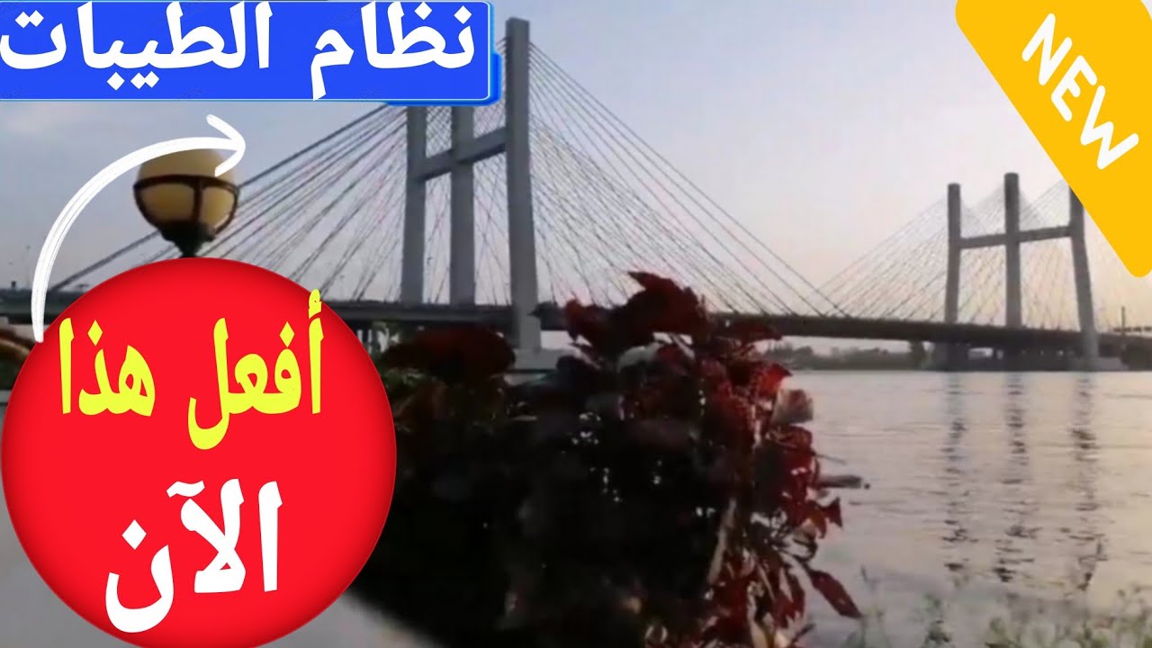 ضروري ومهم لمتابعي دكتور ضياء العوضي - أساسيات لنزول الوزن،خلاصة القول في موضوع توست نظام الطيبات
