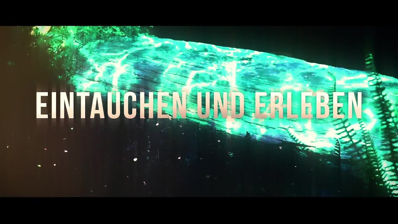 Komm ins Brockenhaus!