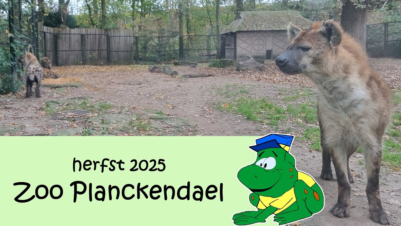 Zoo Planckendael, herfst 2025
