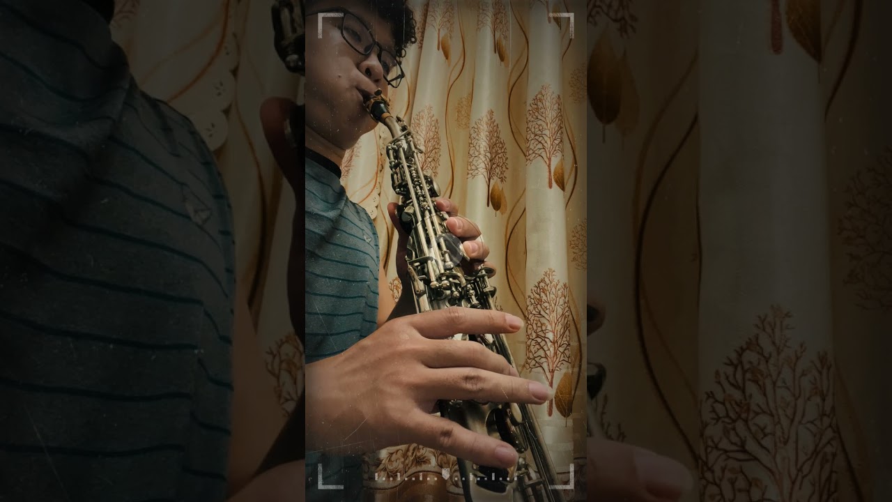 The Entertainer / Cover by Trung Truc Saxophone