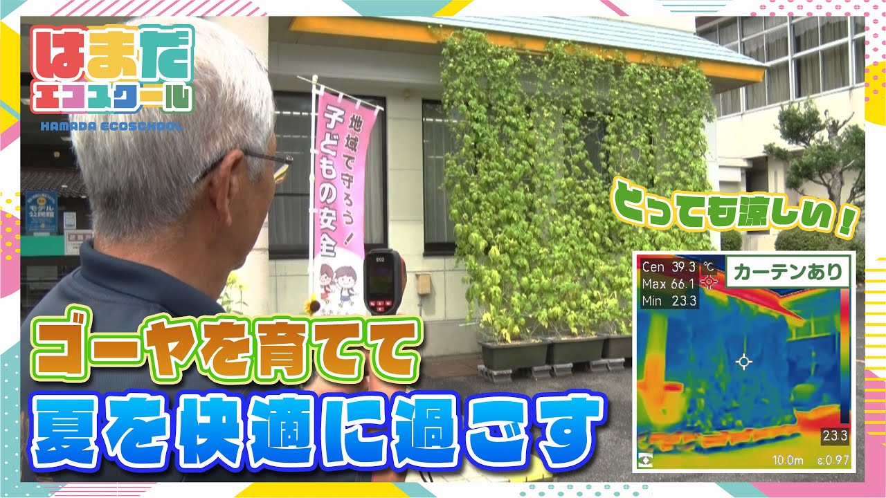 はまだエコスクールvol. 20「緑のカーテンで夏を快適に！」