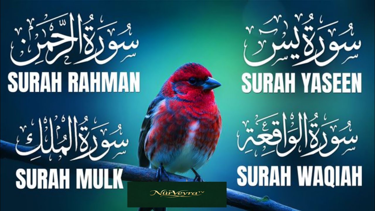 Surah Yasin Surah Rehman Surah Al Mulk Heart Touching Quran Beautiful Recitation 