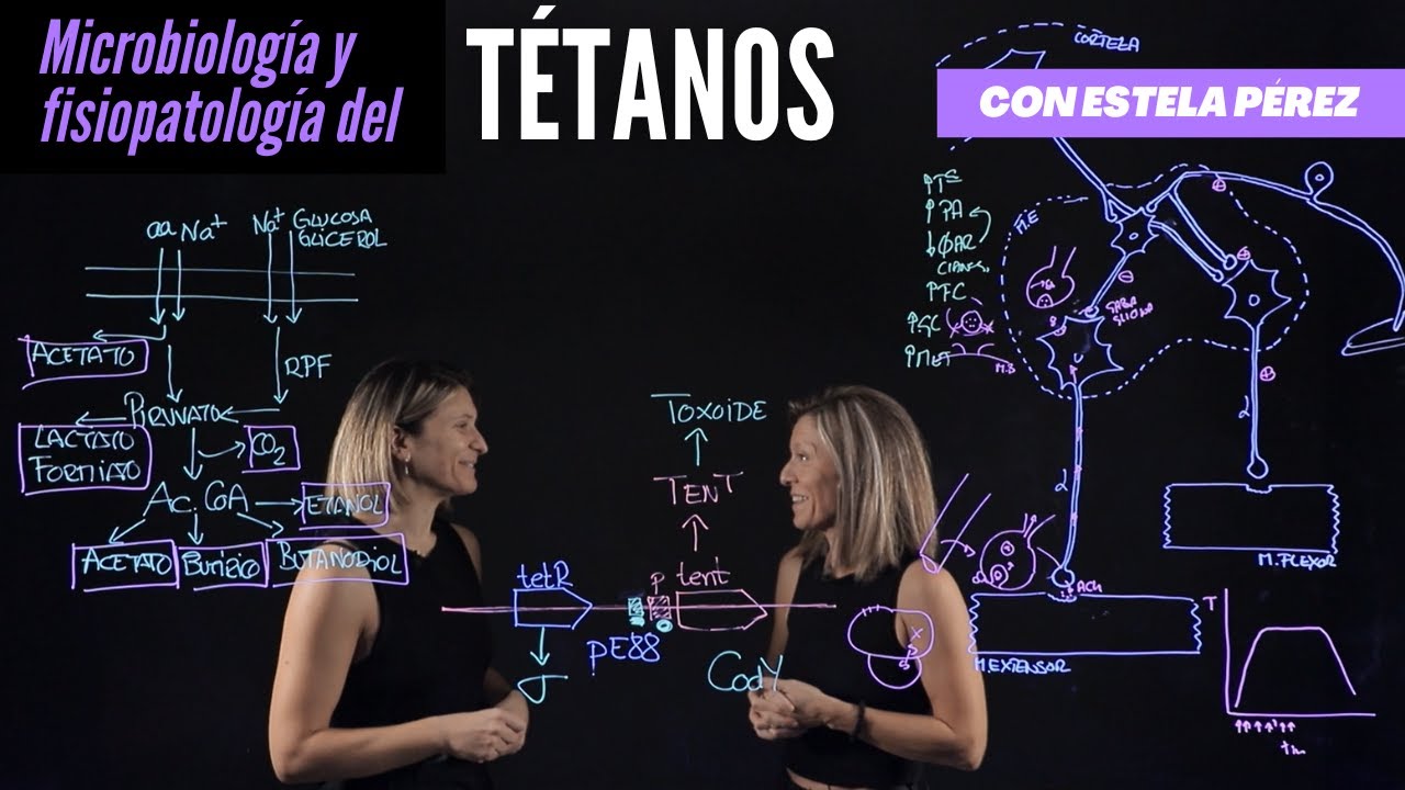 Microbiología y fisiopatología del Tétanos