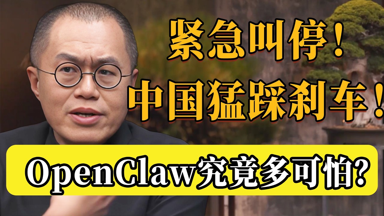 OpenClaw到底有多可怕？中國為何猛踩煞車「養龍蝦」？再不叫停，老底都要挖出來了！ #openclaw #人工智能 #ai #圆桌派 #许子东 #马家辉 #梁文道  #观复嘟嘟 #马未都