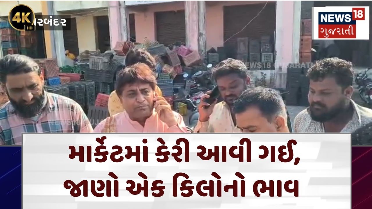 Porbandar Market Yard | રાણાવાવની માર્કેટમાં કેરીની આવક | Ranavav | Mango | Keri | N18V | 4K