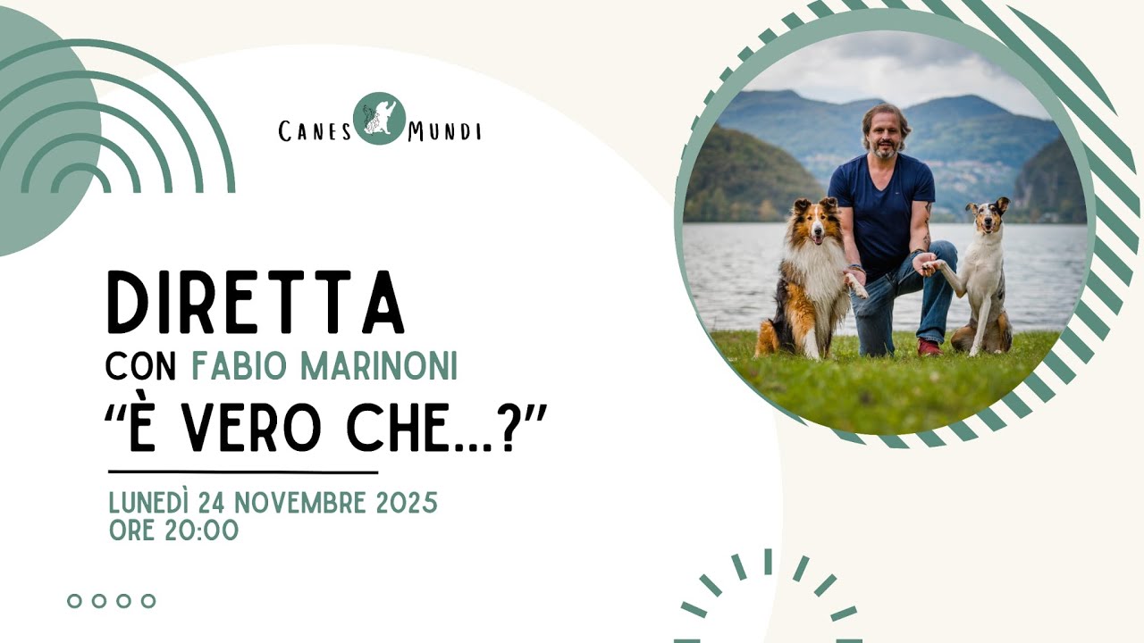 E' Vero Che...?