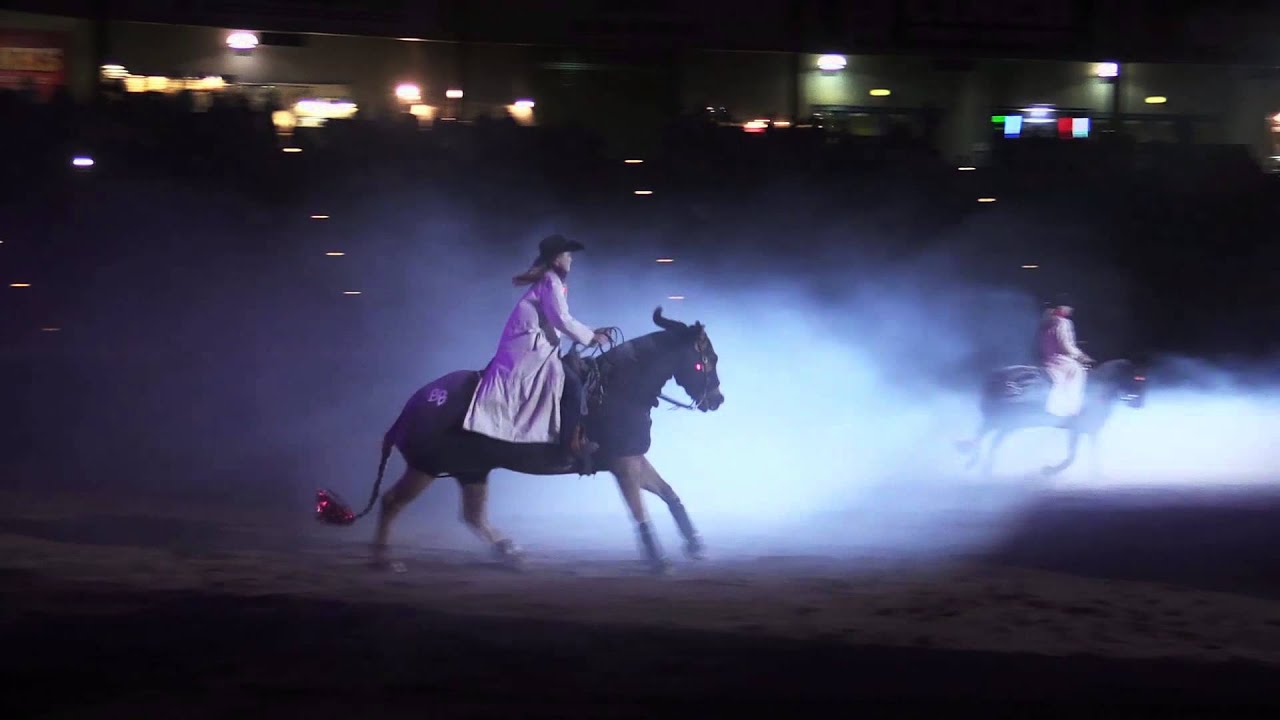 Evening Of Dancing Horses At The National Western Stock Show 2015 - Ghost Riders