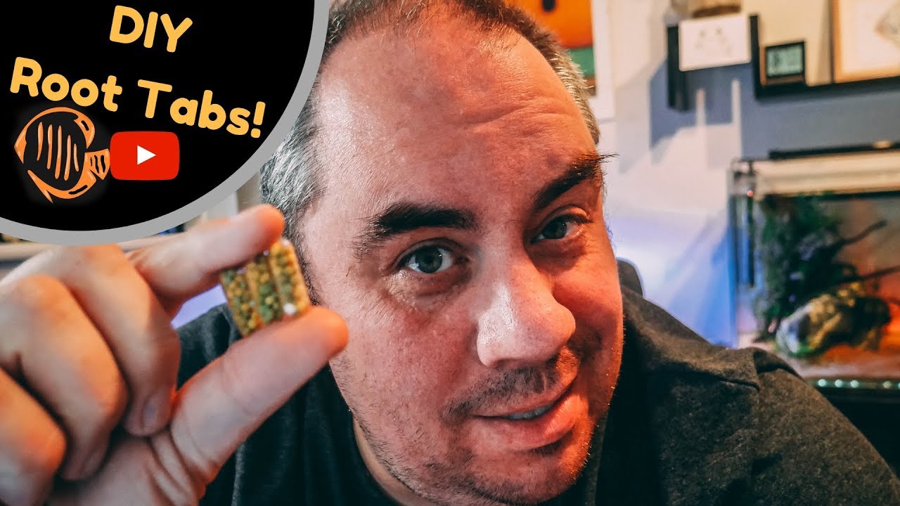 How to make and use aquarium root tabs