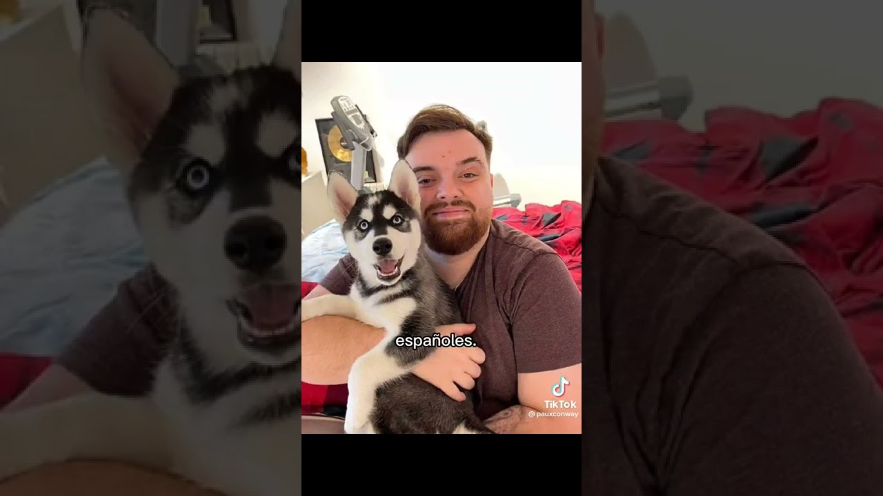 edits de streamers