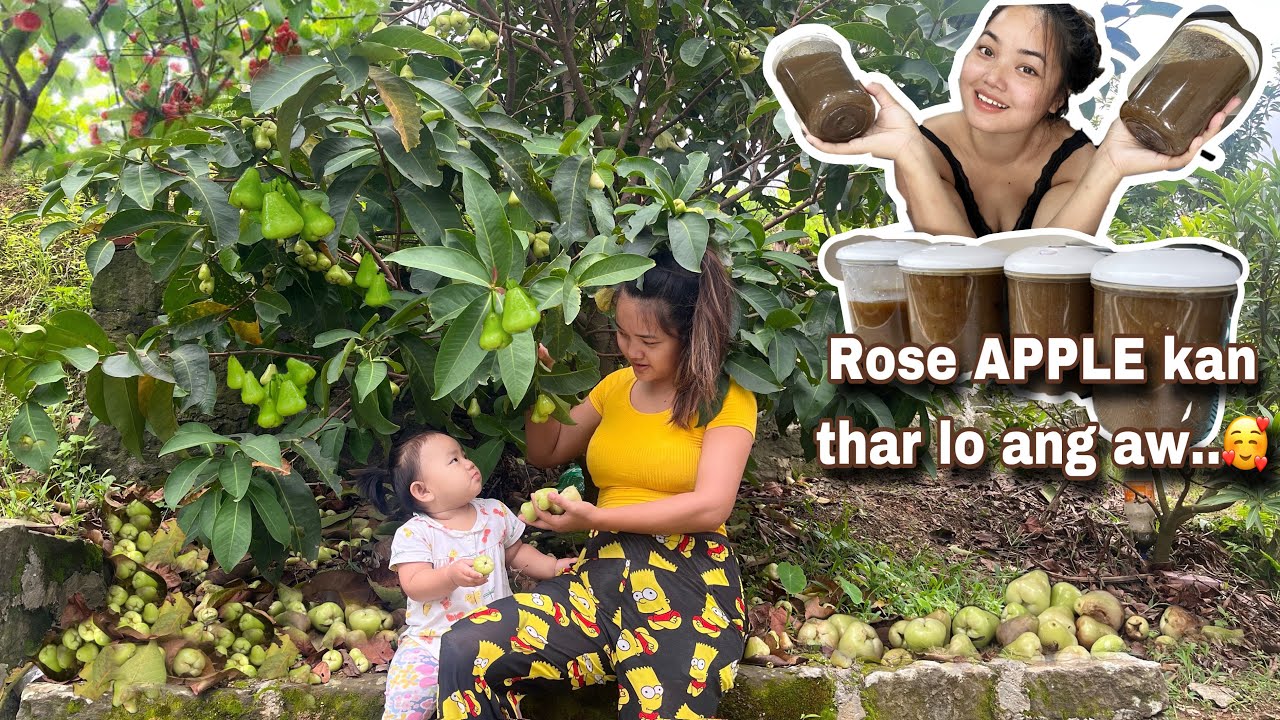 Rose apple rah tam lutuk kan buaipui🍐🍐|ka chet chhiat na zahthlak ka in puanna nen😆😝