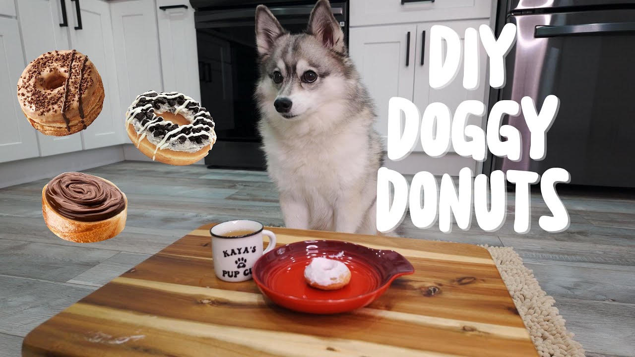 Easy Dog Friendly Donuts DIY Recipe to Treat Your Pup