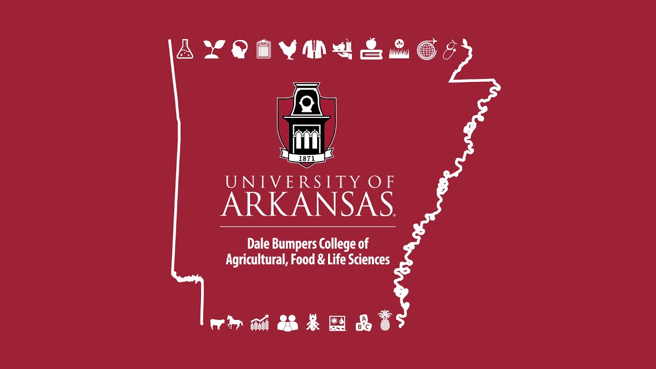 2025 University of Arkansas Dale Bumpers College Award Ceremony