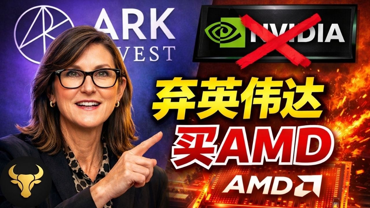 木头姐突然押注AMD：英伟达发生了什么？