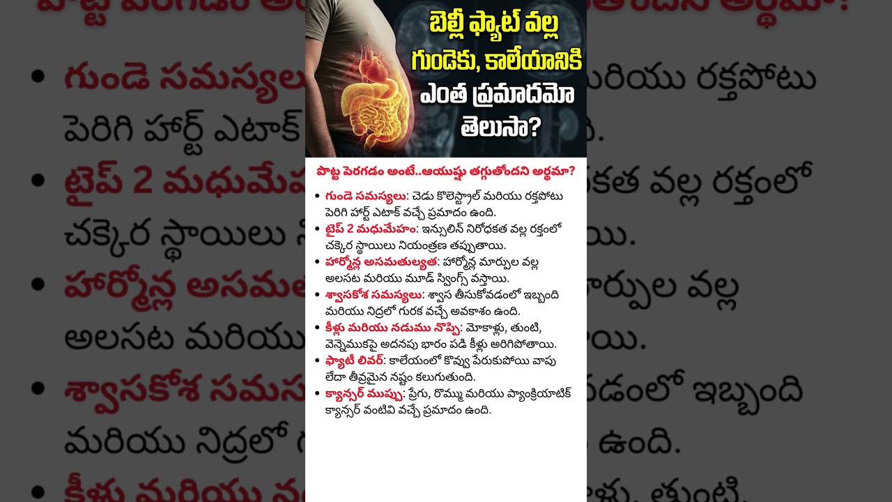 High Belly Fat Is Dangerous Than You Think - Affects Heart, Liver, Breathing, Diabetes, Back pain