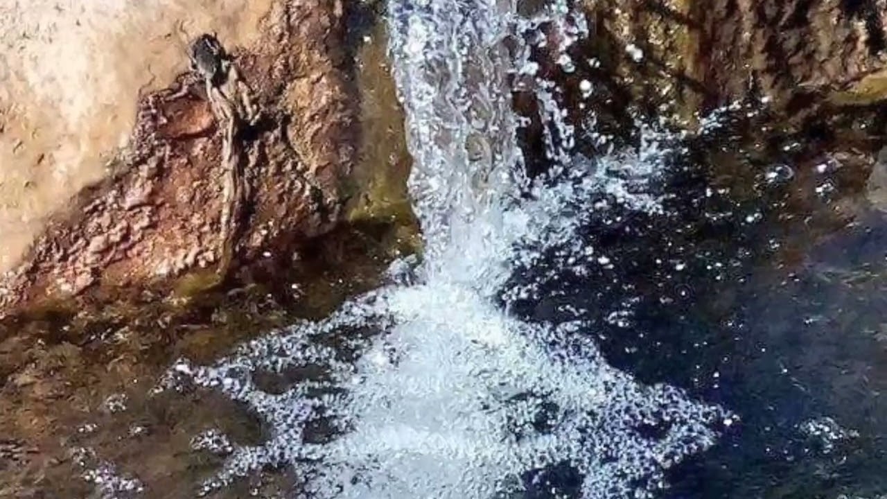 Afilal, Tamanrasset...!