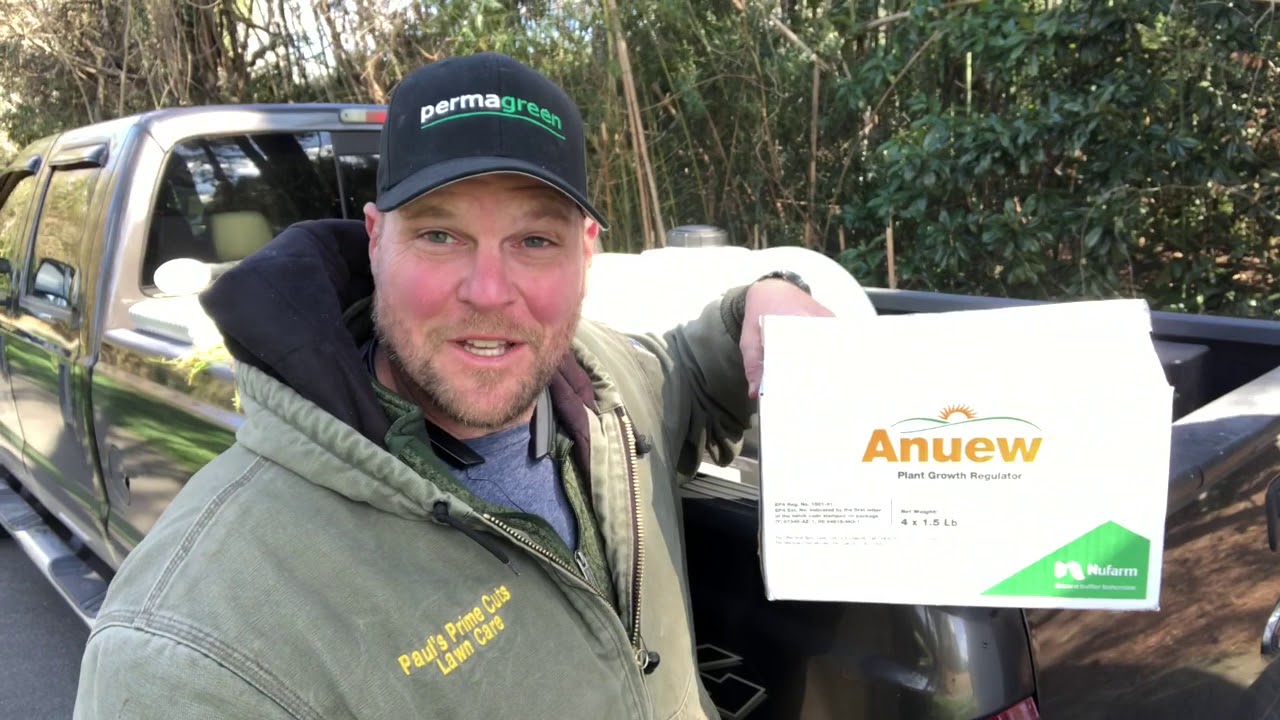How to control poa annua and poa trivialis in fescue