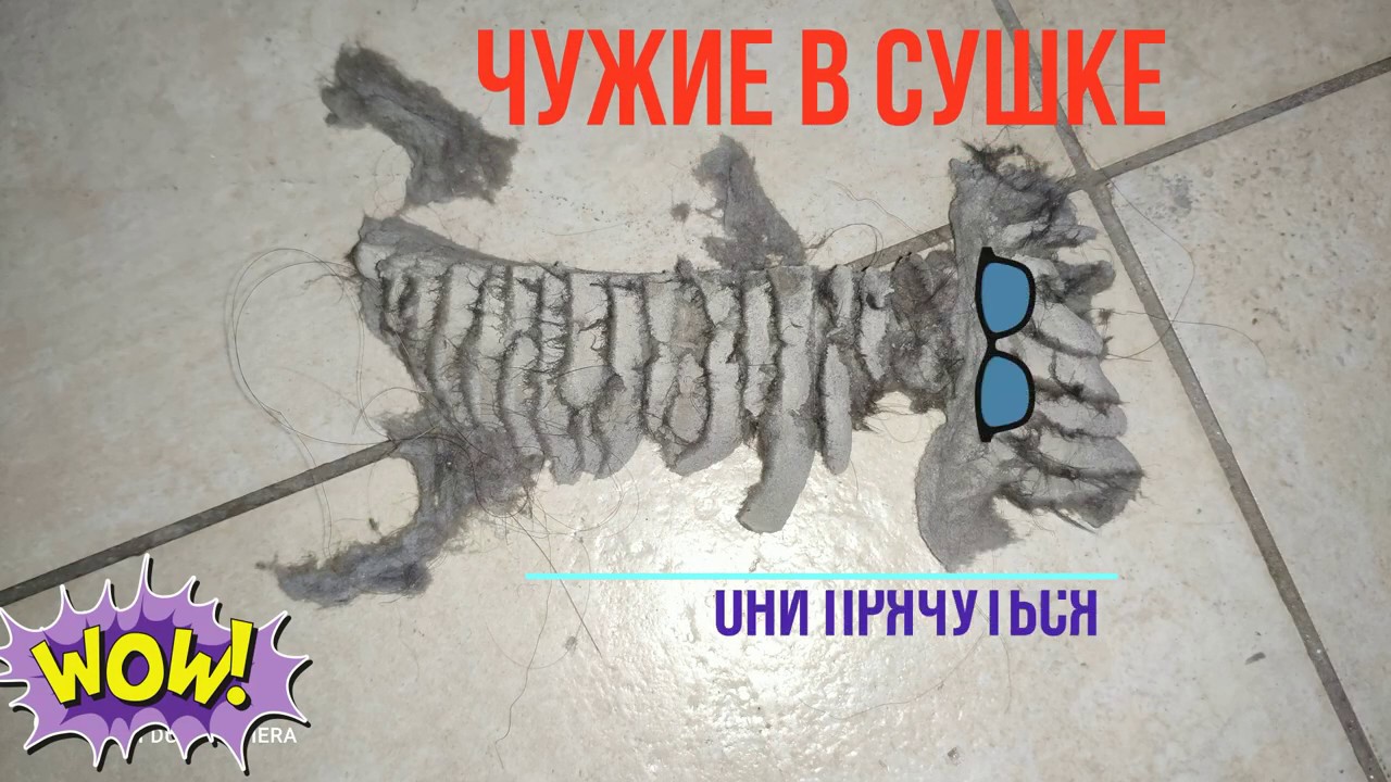 Сушильная машина Miele ремонт, чистка
