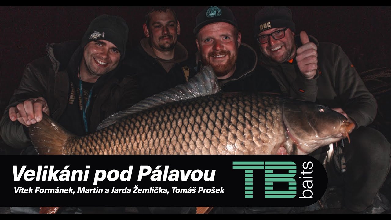 Velikáni pod Pálavou