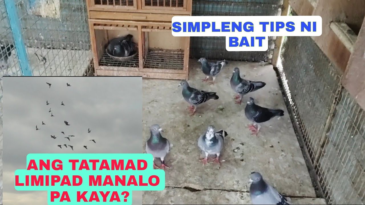 PAMAMARAAN NI BAIT PARA MAKABAWI SA MGA PANLABAN NATING TAMAD LUMIPAD