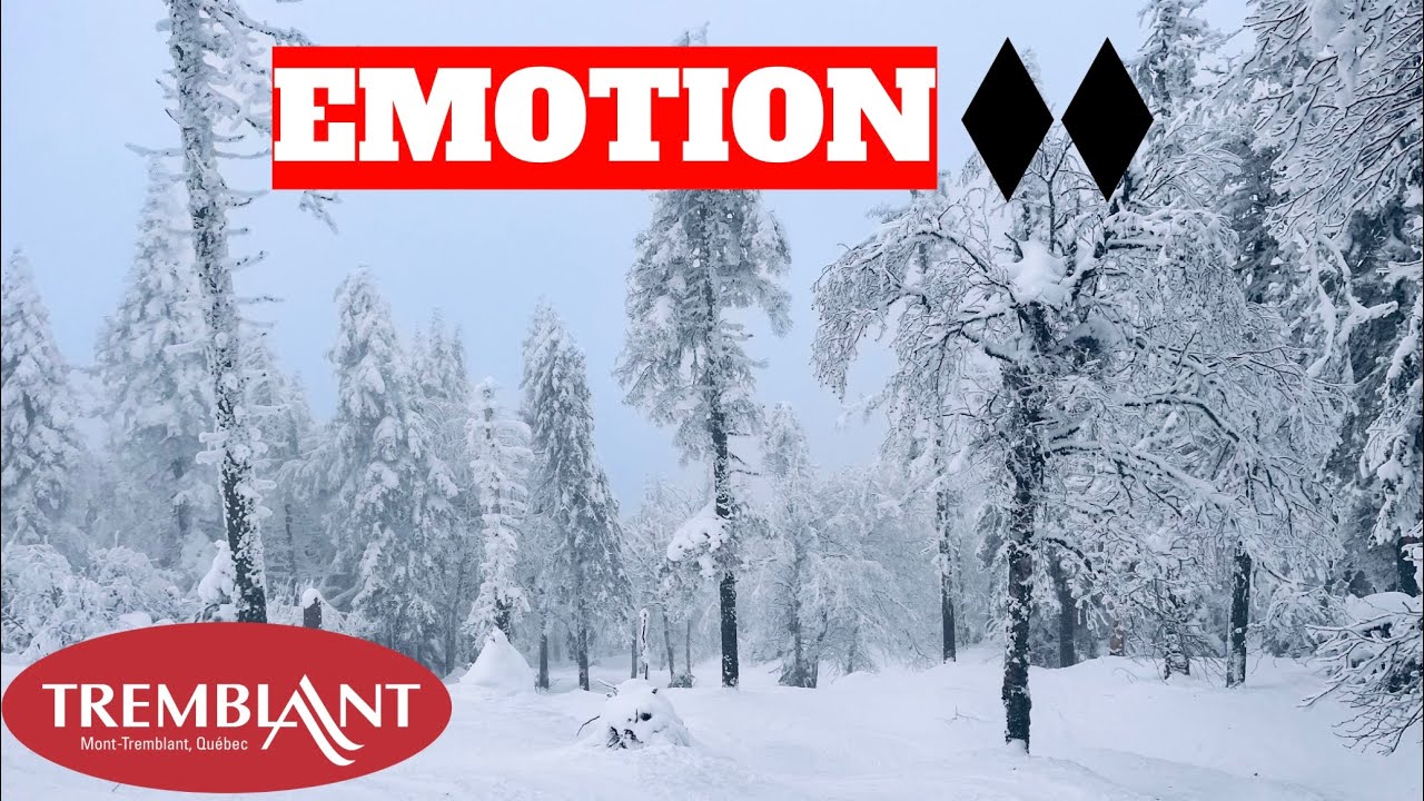 The STEEPEST Glade at Mont Tremblant