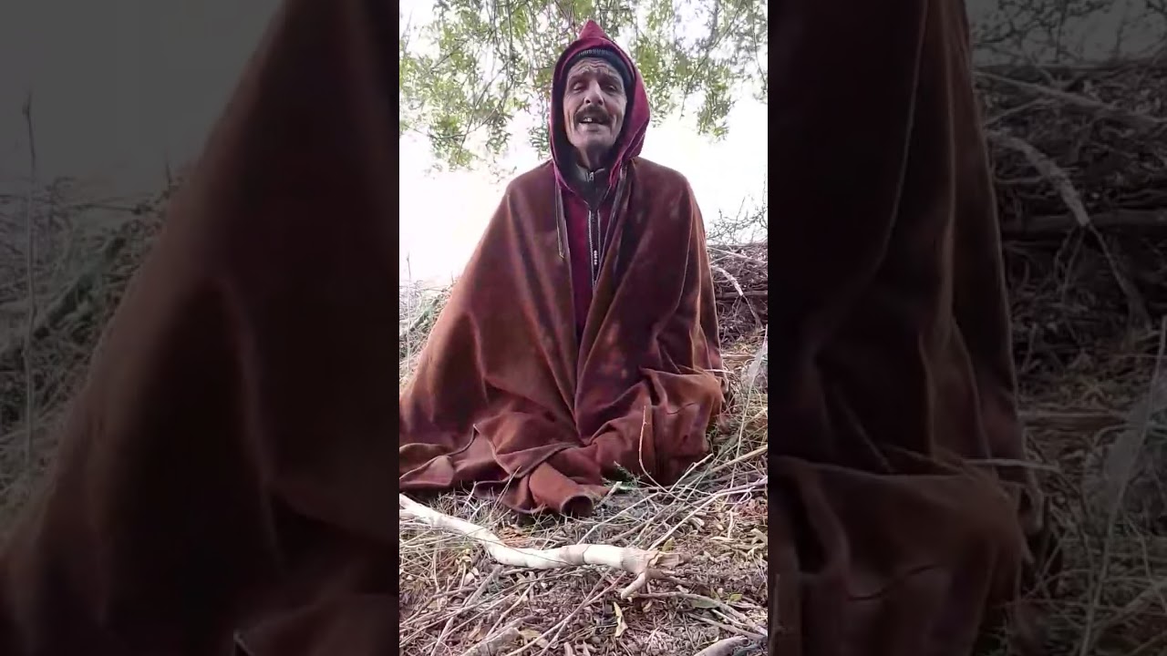 قصة الذيب🐺 من أجمل القصص|#قصص_اطفال