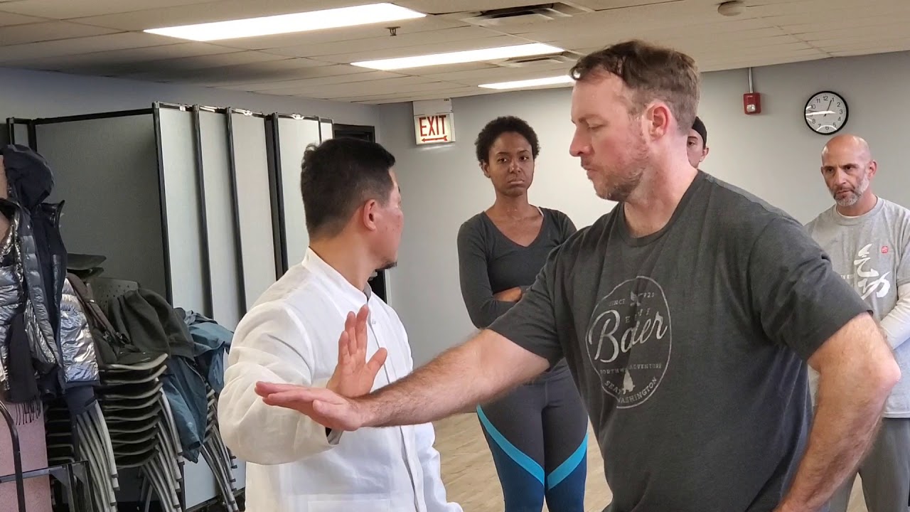 Master Han chen taijiquan Laojia/push hand! seminar, chicago 2020