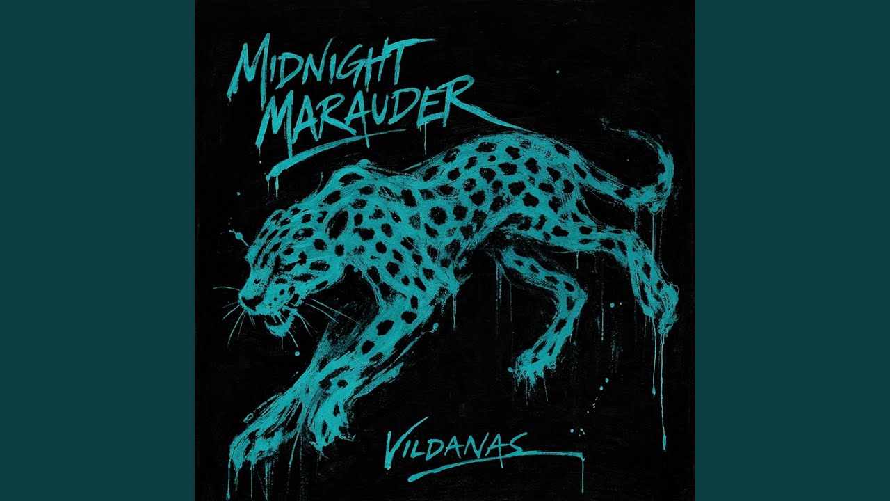 Midnight Marauder (Acoustic Guitar Version)