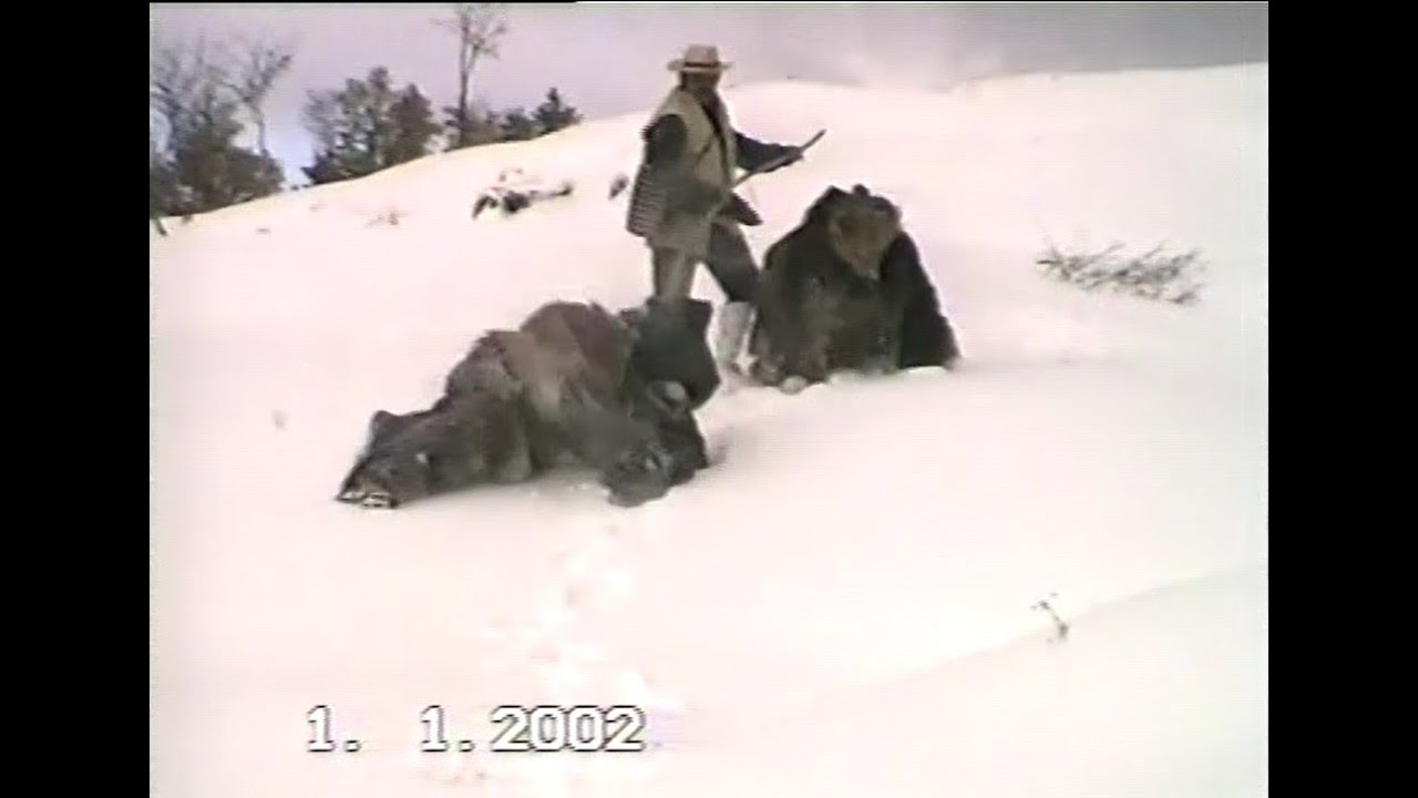 Сурва 2002 г. в село Брежани - началото