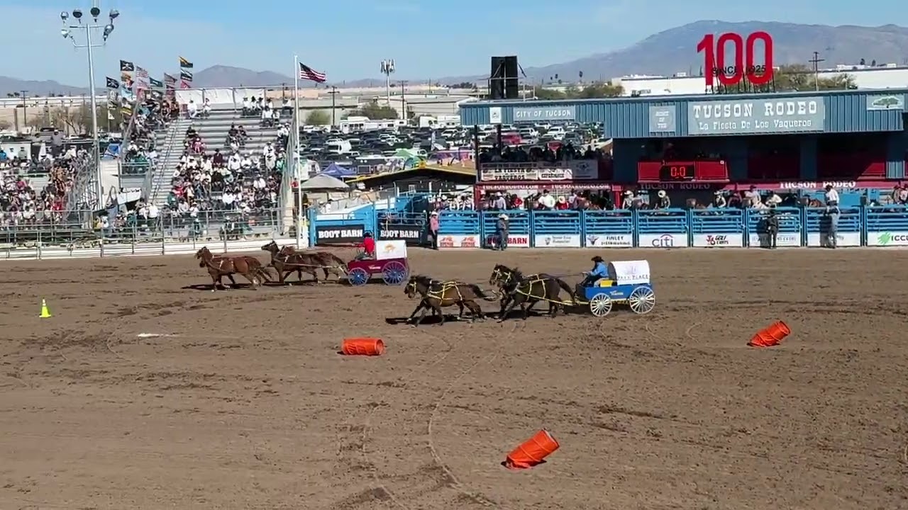 A Day aat the Tucson Rodeo.