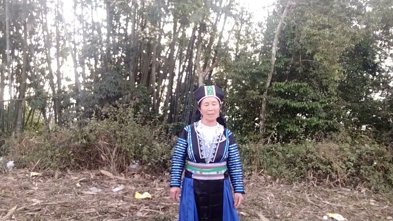 23 tháng 2, 2026