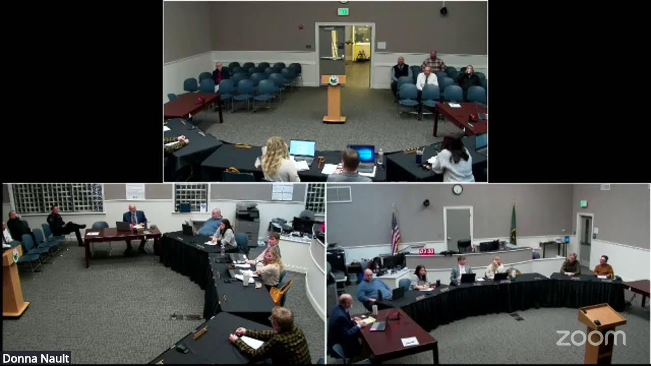 City Council Zoom Meeting