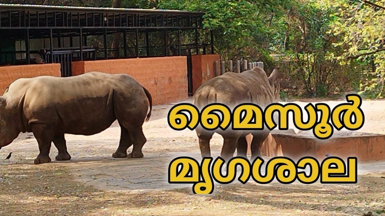 മൈസൂർ മൃഗശാല | mysore zoo